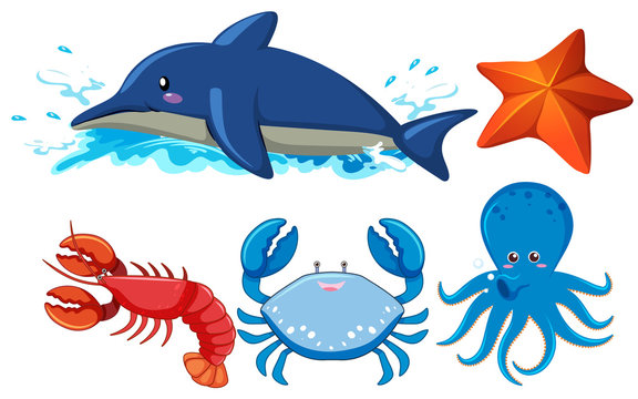 Set of aquatic animals