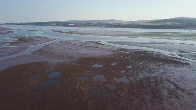 View from above of water plants and wildlife off of the coastal town in Lympstone England. Birds are flying landing on the plants in the water.