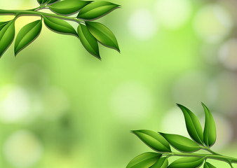 A natural leaf template