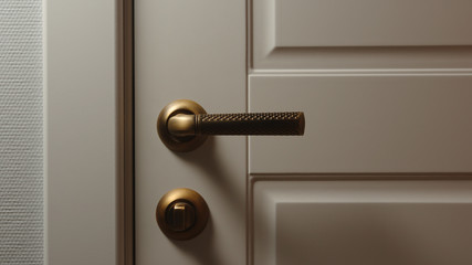 A door handle in a white door - Front view