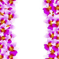 Fototapeta na wymiar Purple Vanda Miss Joaquim Orchid Border