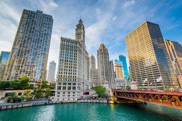 Fototapeta premium Wieżowce wzdłuż rzeki Chicago w Chicago, Illinois