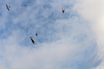 A group of skydivers is flocking in the sky.