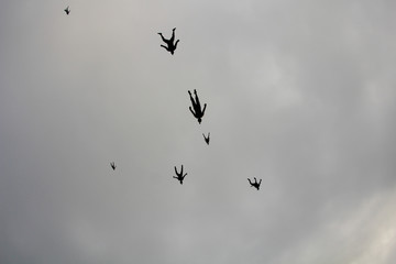 A group of skydivers is flocking in the sky.