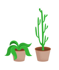 Room Plants with Leaves Set Vector Illustration