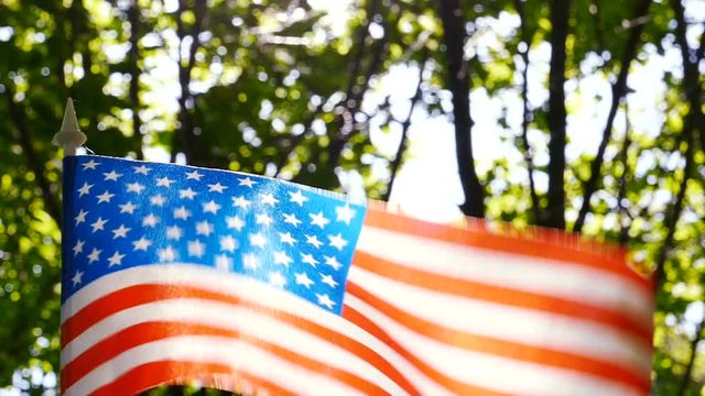 
American Flag in slow motion close up sunny scene. Forest green background
