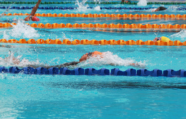 Fototapeta na wymiar Swimmers swim backstroke or back crawl in a swimming pool for competition or race