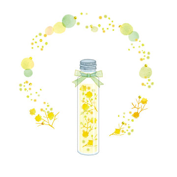 ハーバリウムのイラスト Stock イラスト Adobe Stock