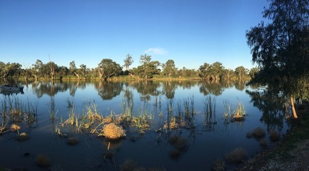 Murray river, South Australia