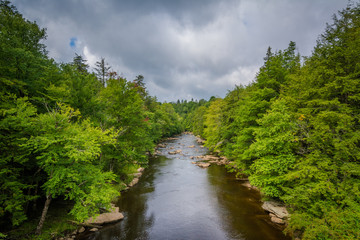 Fototapeta na wymiar The Blackwater River at Blackwater Falls State Park, West Virginia.