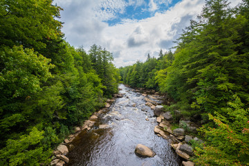 The Blackwater River at Blackwater Falls State Park, West Virginia.