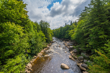 Naklejka premium The Blackwater River at Blackwater Falls State Park, West Virginia.