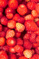 Red ripe strawberry from the forest as a background