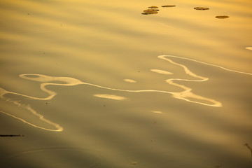 Sunset with reflection in lake water as background