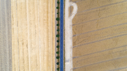 Aerial view of a country road between agricultural fields in Europe, Germany. Beautiful landscape.  Captured from above with a drone