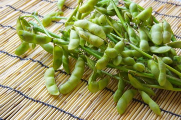 枝豆　Green soybeans　