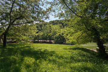 Moscow, Russia. Green trees and lawn in Kolomenskoye Park on the river bank on a warm spring day
