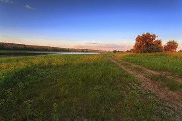 Volgograd region, Srednyaya Akhtuba, Russia. Dirt road leading to the river bank through a green field. Nature in beautiful dawn light