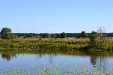 Alte Leine, Niedersachsen