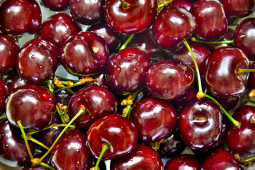 Ripe Red Cherries