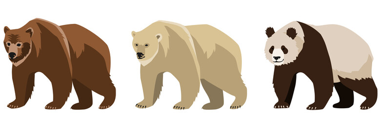 set of three bears. A grizzly bear, a polar bear and a panda bear. Vector illustration, isolated object