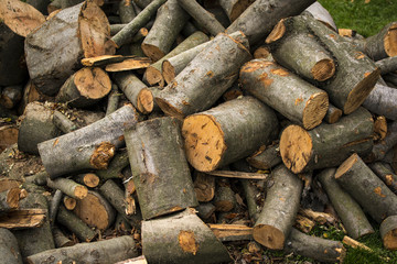 Pile of Firewood, Natural Wooden Background.