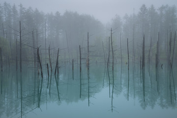 青い池