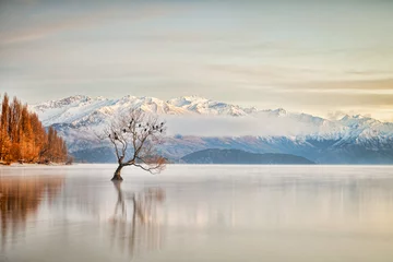 Papier peint photo autocollant rond Paysage Lake Wanaka Otago New Zealand