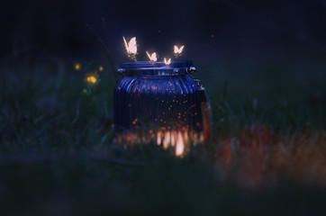 a lantern and butterflies. evening forest.