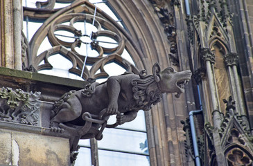 Gargoyle wolf werewolf on the wall of Cologne Cathedral. Germany, Cologne, August 2017.