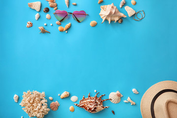 Composition with seashells and stylish accessories on color background