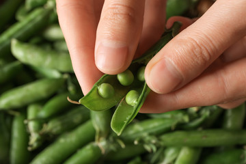 Woman shelling green peas, closeup