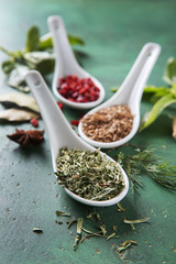 Spoons with different spices on color background
