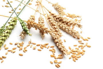 Wheat grains with spikelets on white background