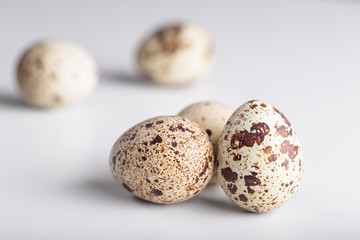 Obraz premium organic quail bird eggs