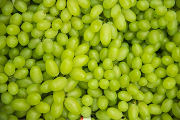 Bunch Of Harvested White Grapes 