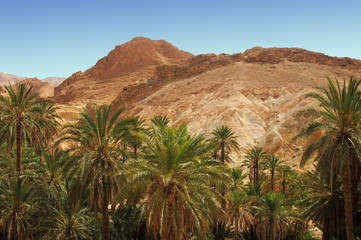 Fototapeta na wymiar The Atlas Mountains. Sahara. Tunisia. Africa