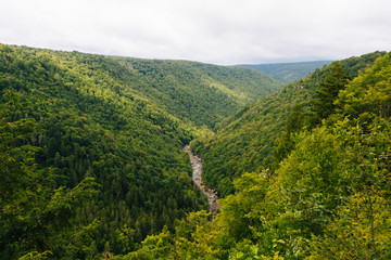 View from Pendleton Point, in Blackwater Falls State Park, West Virginia.