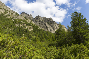 View on mountain Peaks and alpine Landscape of the High Tatras, Slovakia