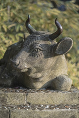 Obraz premium Buddhist stone statue of a bull lying with coins placed as an offering on his base in the Enryaku temple of Ryôgen monk in Hiei Mountain near Kyoto, Japan.