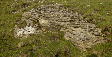 Stone texture - details,  background and texture image