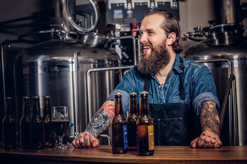 Portrait of a bearded tattooed hipster male in a jeans shirt and apron working in a brewery factory, standing behind a counter.