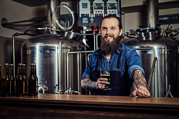 Bearded tattooed hipster male in a jeans shirt and apron working in a brewery factory, standing behind a counter, holds glass of beer for quality control.