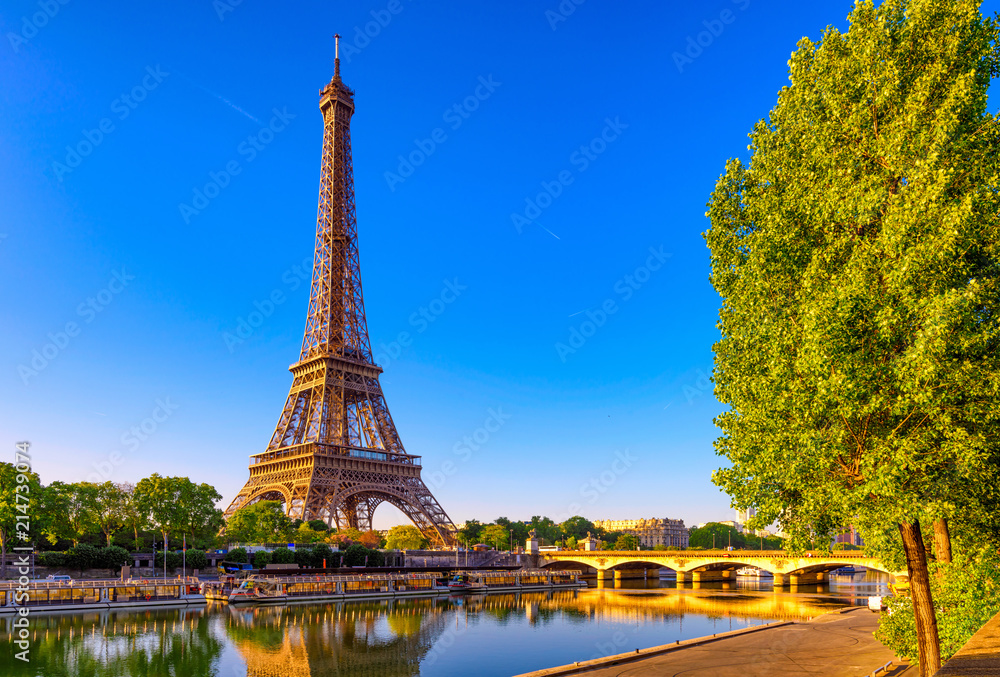 Wall mural view of eiffel tower and river seine at sunrise in paris, france. eiffel tower is one of the most ic