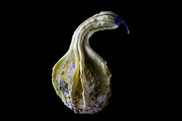 Folwers