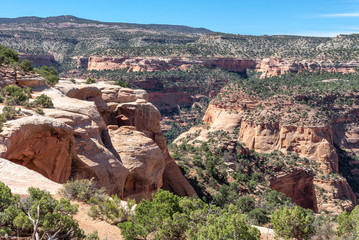 Rattlesnake Canyon in McInnis Canyons National Conservation Area, Colorado state, USA