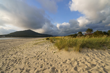 Fototapeta premium Sandy dunes in the park near the Atlantic ocean in the northern Portugal