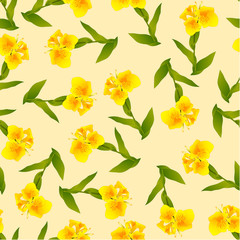 Yellow Canna lily on Ivory Beige Background
