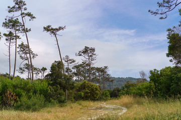 Beautiful park in the northern Portugal