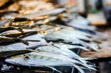 Fresh fish on the counter in the fish shop. Kalutara, Sri Lanka.
